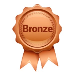 Bronze Sponsors
