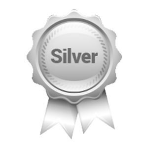 Silver Sponsor
